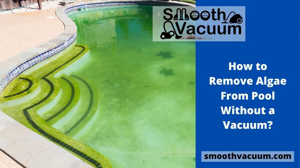 You are currently viewing How to Remove Algae From Pool Without a Vacuum?