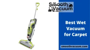 Read more about the article Wet Vacuum for Carpet