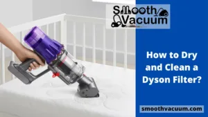 Read more about the article How to Dry and Clean a Dyson Filter?