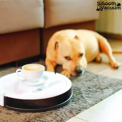 Things to Consider When Buying a Pet Vacuum Cleaner 4
