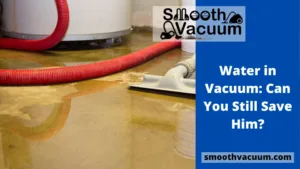 Read more about the article Water in Vacuum: Can You Still Save Him?